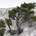 Tana Libera Tutti 3 Nature, Yourself,