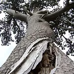 Tana Libera Tutti 3 Nature, Yourself,