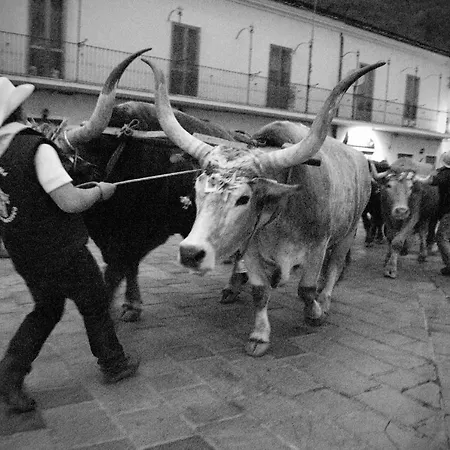 Tana Libera Tutti 3 Nature, Yourself,