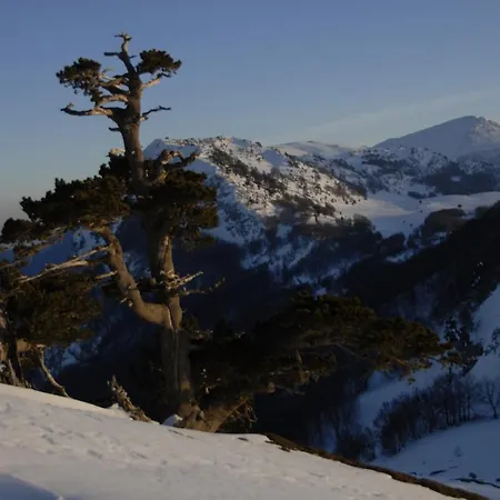 Apartamento Tana Libera Tutti 3 Nature, Yourself, *