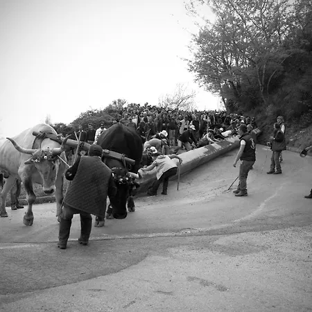 Tana Libera Tutti 3 Nature, Yourself, *