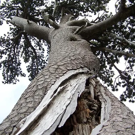 Tana Libera Tutti 3 Nature, Yourself,