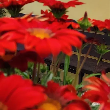 Tana Libera Tutti 3 Nature, Yourself, Apartment Viggianello