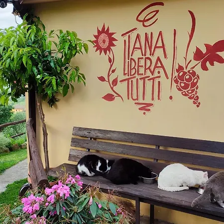 Tana Libera Tutti 3 Nature, Yourself, Guest house