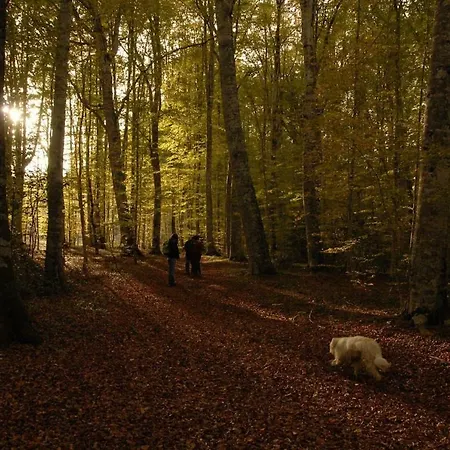 Apartamento Tana Libera Tutti 3 Nature, Yourself, Viggianello