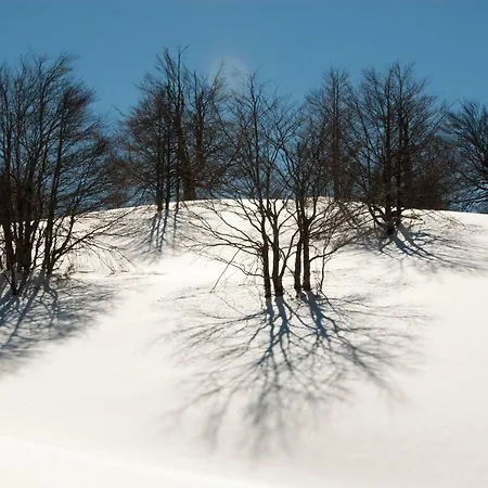 Tana Libera Tutti 3 Nature, Yourself, Viggianello