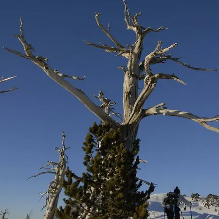 Tana Libera Tutti 3 Nature, Yourself, *